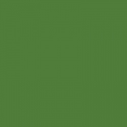 BS381-221 Brilliant Green Aerosol Paint